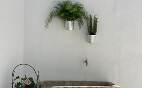 Cortile Carducci